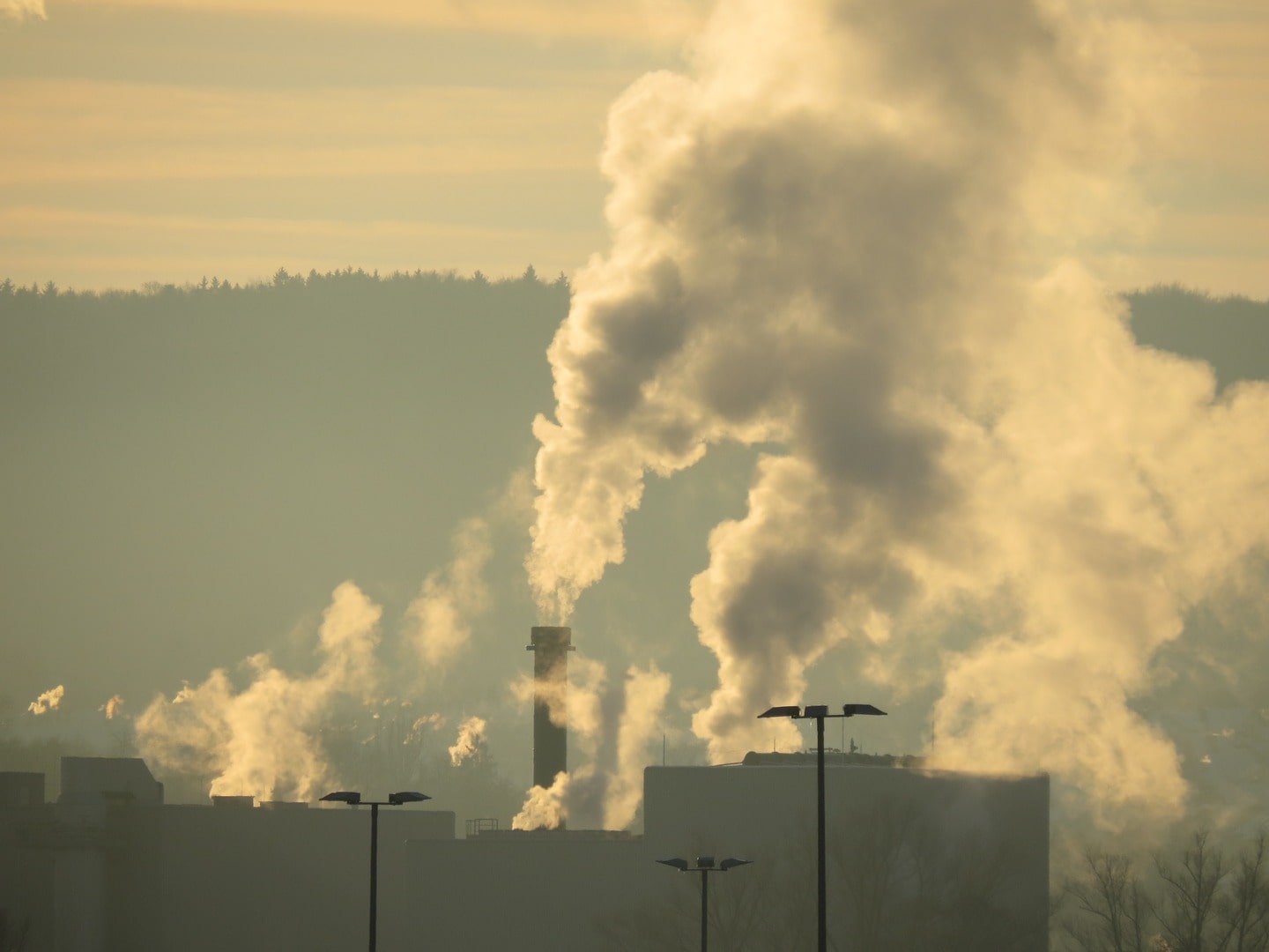The Causes of Climate Change
