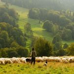 Tajikistan: Protecting the environment, creating economic opportunity