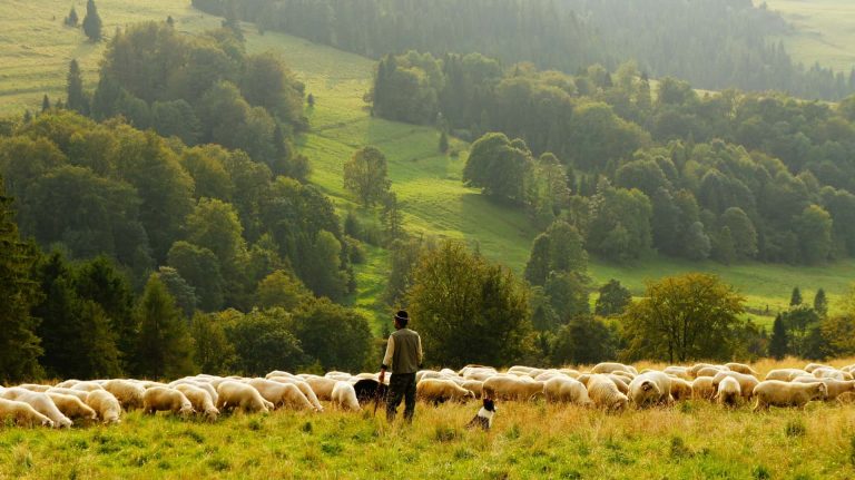 Tajikistan: Protecting the environment, creating economic opportunity