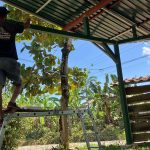 Painting the community center las tumbas